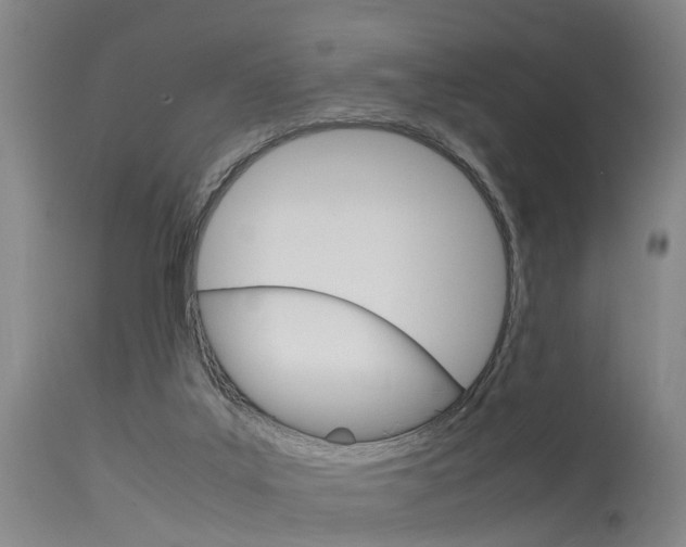 X0000115720019200911121114