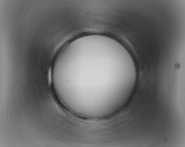 X0000115720020200911121114
