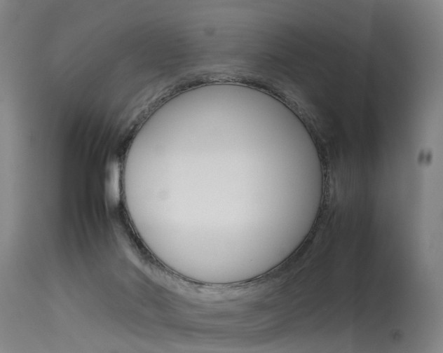 X0000115720022200911121113