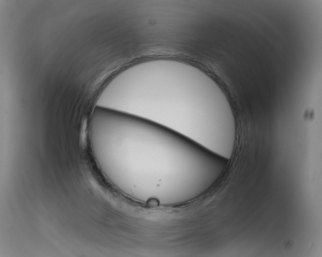 X0000115720024200911121113