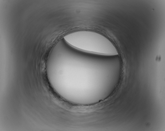 X0000115720025200911121113