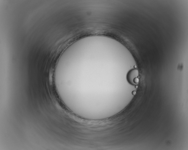 X0000115720026200911121113