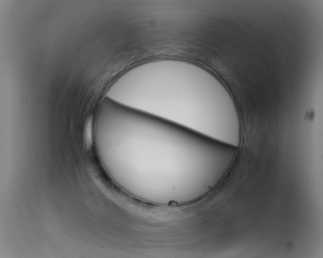 X0000115720028200911121113