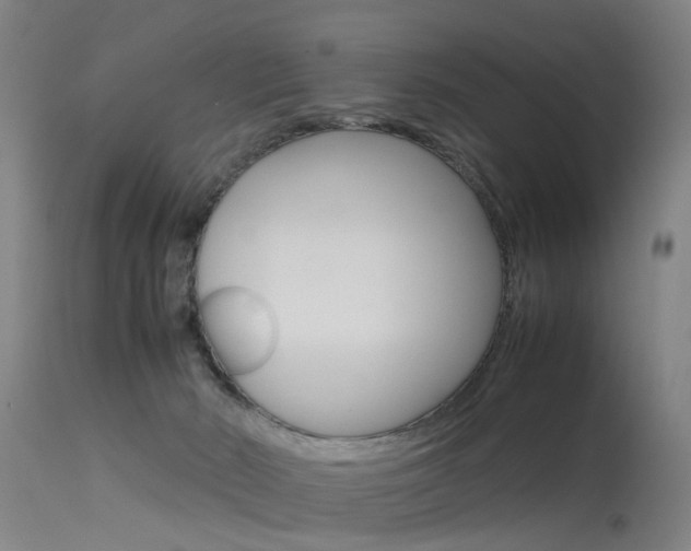 X0000115720030200911121113