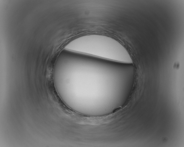 X0000115720033200911121113