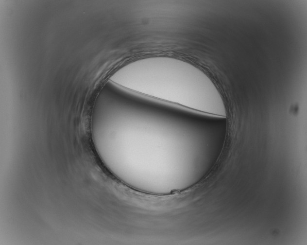 X0000115720035200911121113