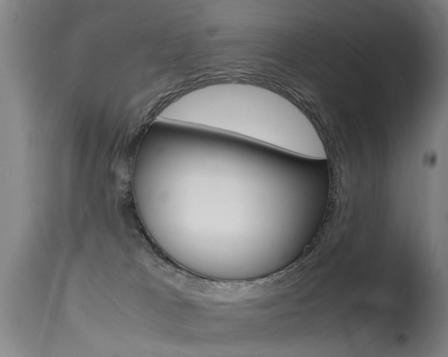 X0000115720037200911121113