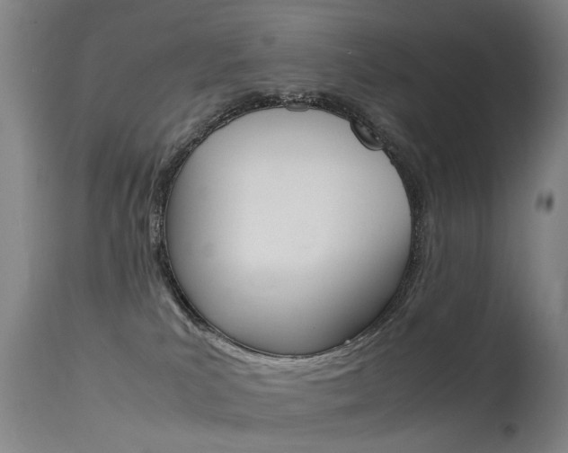 X0000115720039200911121113