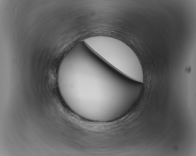 X0000115720040200911121113