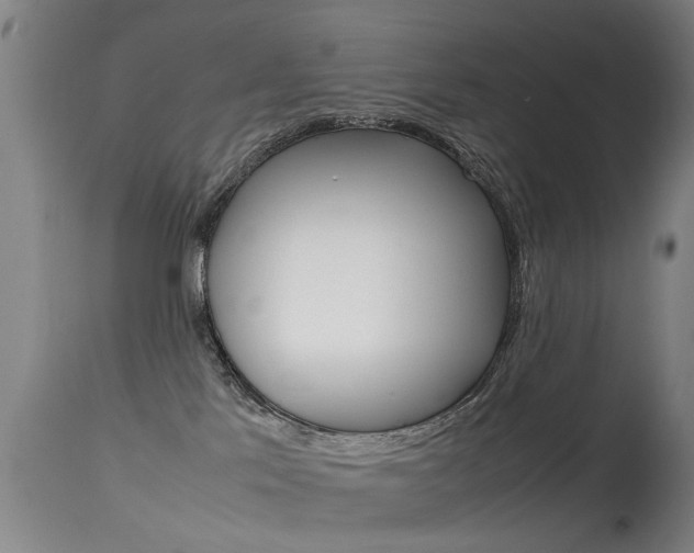 X0000115720041200911121113