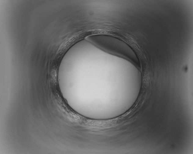X0000115720045200911121113