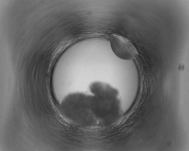 X0000115720049200911121112