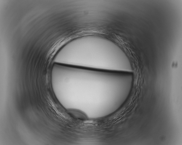 X0000115720050200911121112