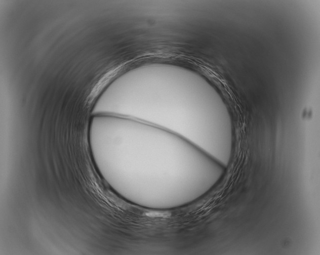 X0000115720051200911121112