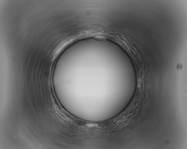 X0000115720052200911121112