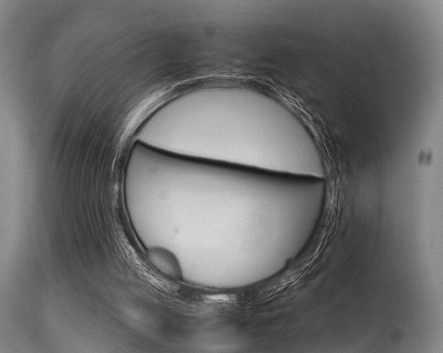 X0000115720053200911121113