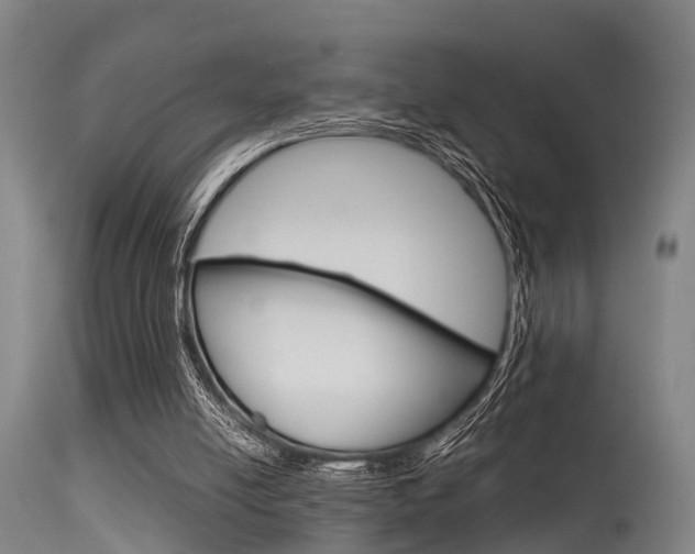 X0000115720054200911121113