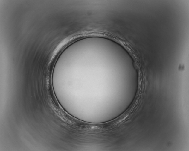 X0000115720056200911121113