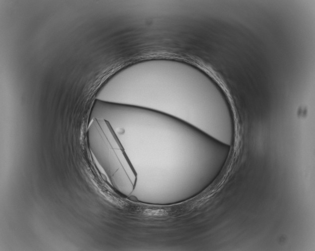 X0000115720057200911121113