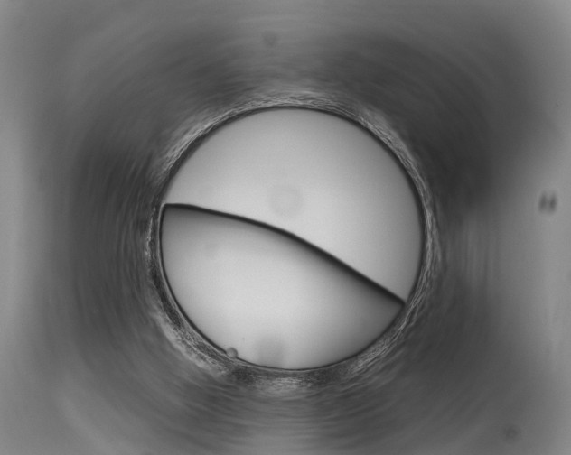 X0000115720058200911121113