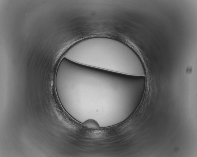 X0000115720059200911121113