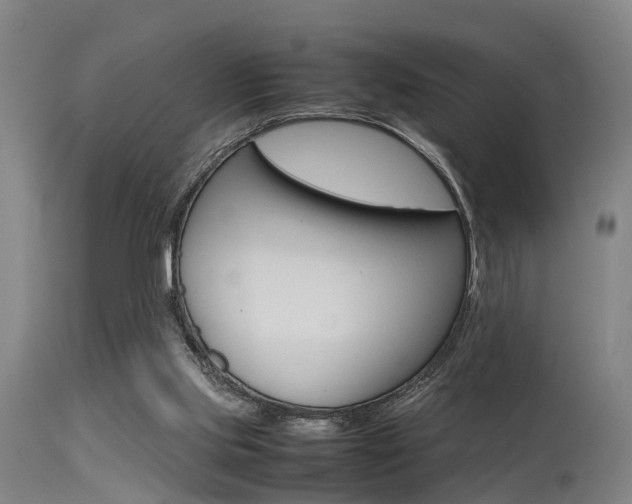 X0000115720061200911121113