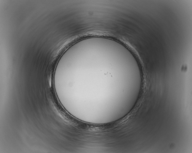 X0000115720062200911121113