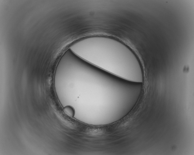 X0000115720063200911121113