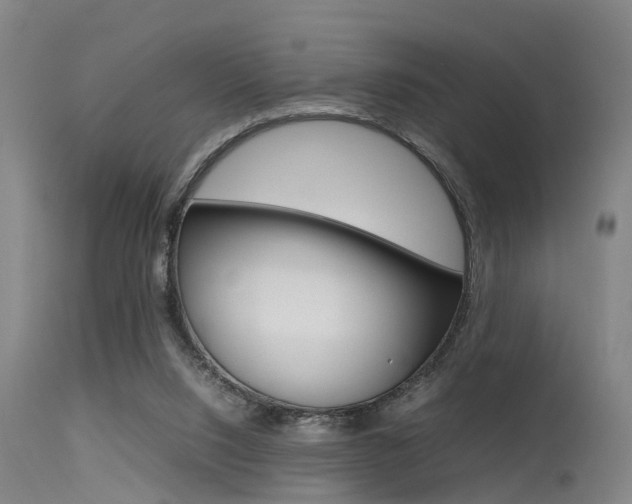 X0000115720064200911121113