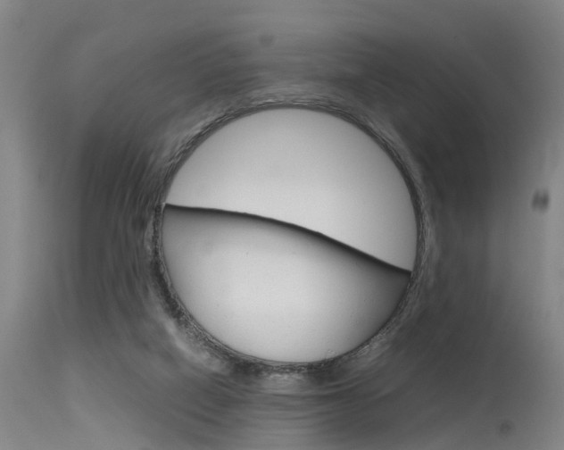 X0000115720066200911121113