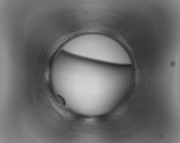 X0000115720068200911121113