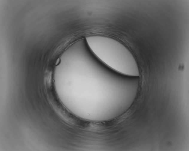 X0000115720070200911121113