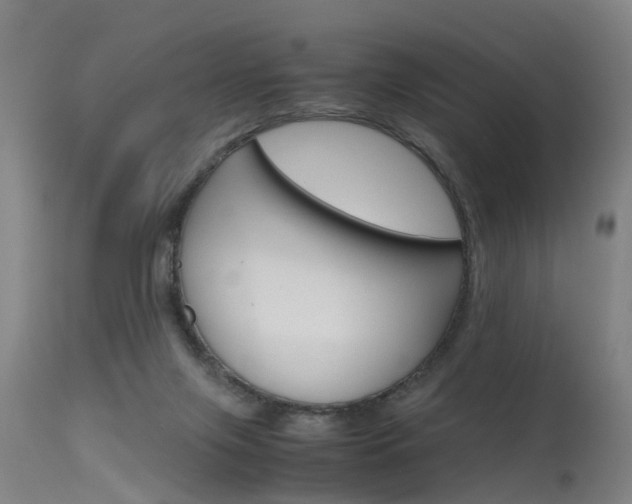 X0000115720071200911121113