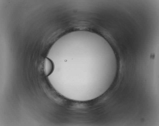 X0000115720073200911121113