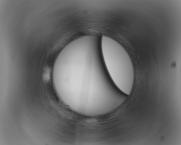 X0000115720075200911121113
