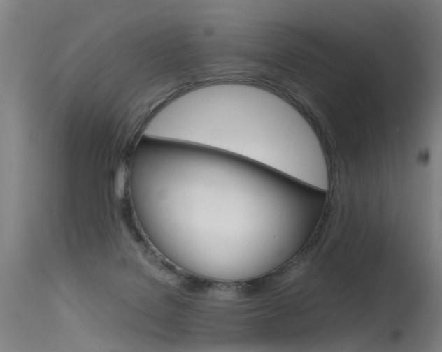 X0000115720076200911121113