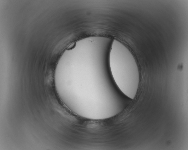 X0000115720077200911121113