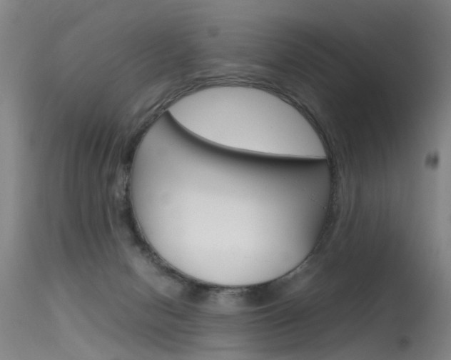 X0000115720078200911121113
