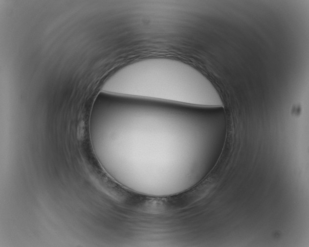 X0000115720080200911121113