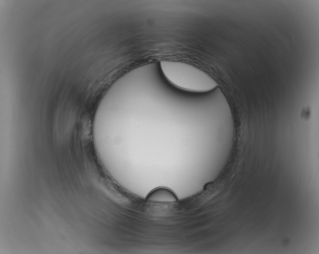 X0000115720081200911121113