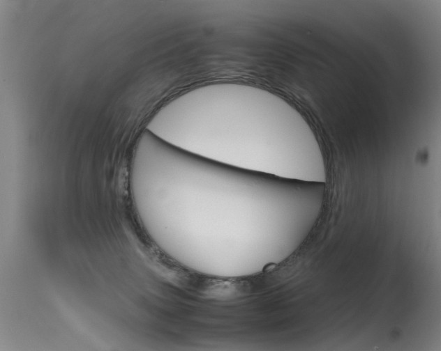 X0000115720083200911121113