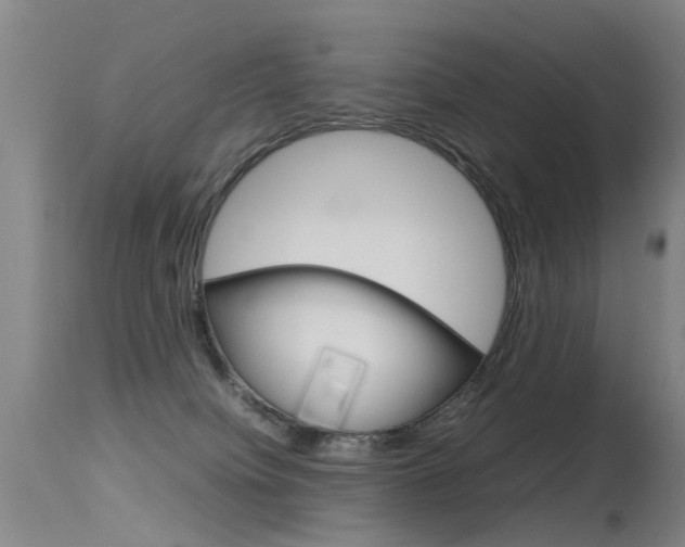X0000115720084200911121113