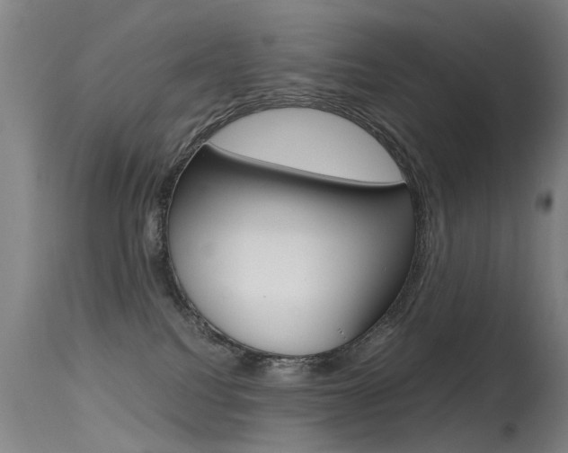 X0000115720088200911121113