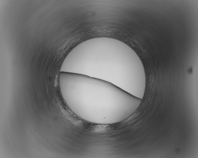 X0000115720090200911121113