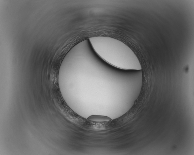 X0000115720091200911121113