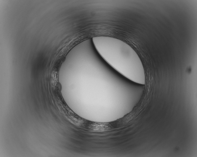 X0000115720093200911121113