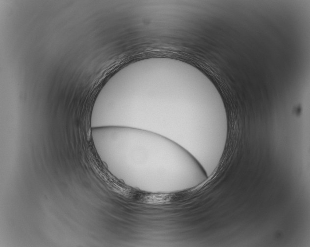 X0000115720094200911121113