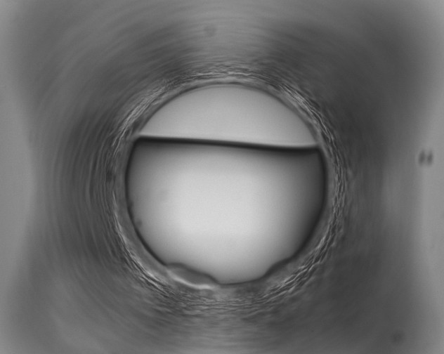 X0000115720097200911121112