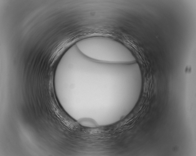 X0000115720098200911121112