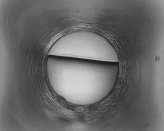X0000115720099200911121112